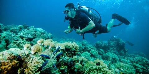 3 Fun Facts About Scuba Diving