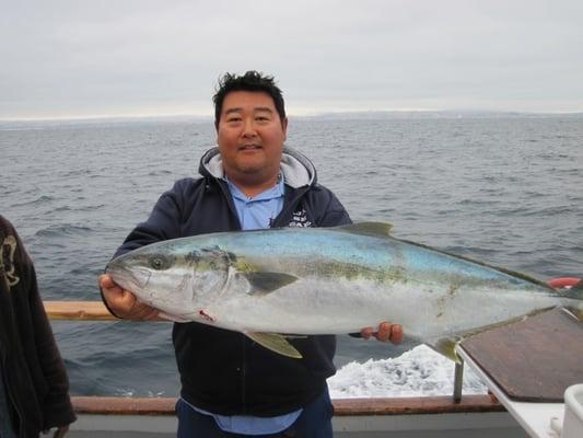 34 pound Yellowtail aboard the New Lo-An.