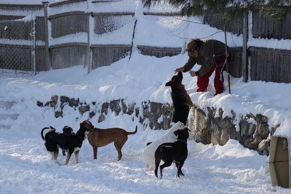 We love to play in the fresh snow after a nice storm!