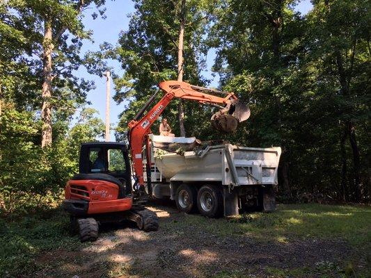 J.R. Morgan Tree Service