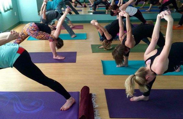 All levels yoga! So many teachers and styles to choose from! Meridian's only dedicated, non-hot yoga studio. We have classes for everyone!