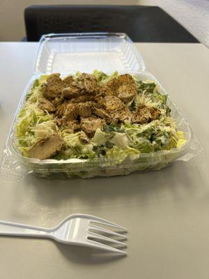 Grilled Chicken Cesar Salad