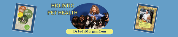 Judy Morgan, DVM-Clayton Veterinary Associates