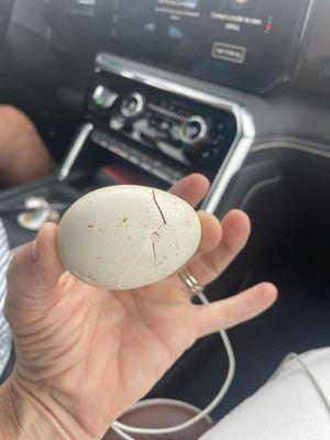 This sums them up. They left a rotting egg in this 80,000 truck and they are rotten eggs.