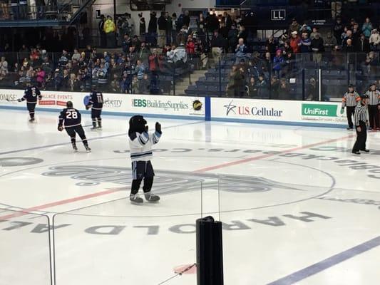 Alfond Arena