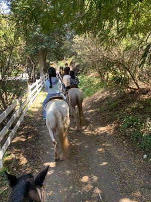 Scenery on the trail