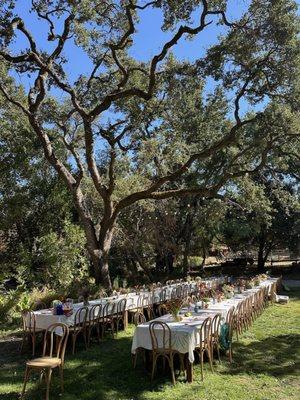 Made our wedding reception great without bugs or gophers!