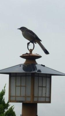 On their roof top terrace