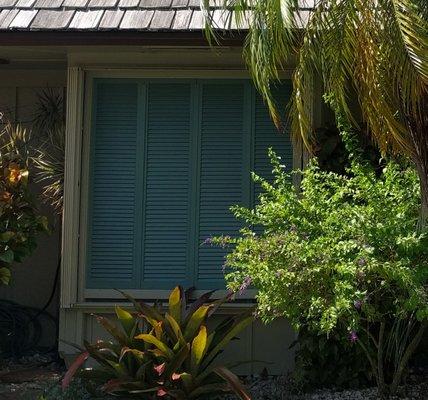 Exterior wood louvered panels that cover my bathroom shower window. Measurement: 15” x 64” (each - four panels)