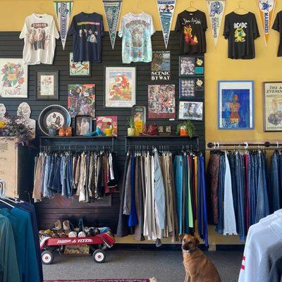 Inside our store, band shirt wall, jeans, and our store dog Archie