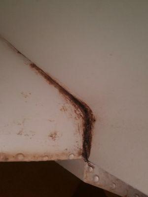 MOLD IN APARTMENT T242 AC STAYS BROKEN AND ASST MANAGER ATTITUDE IS A CRAPPY MESS!