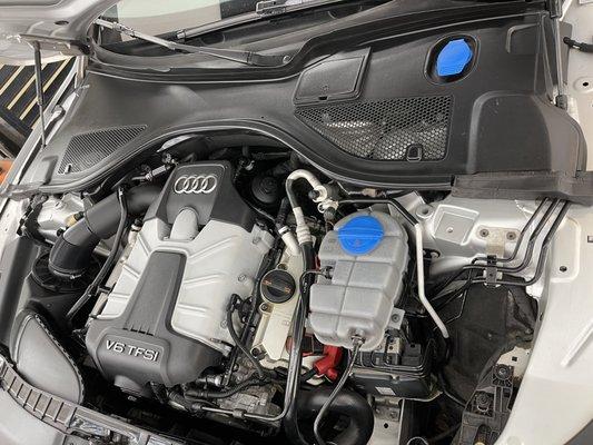 Recon Central Engine Bay Detail on my Audi A7