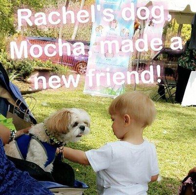 Taste of South Tampa is kid and dog friendly - pic courtesy of Lori. Mocha Coconut was loving this lil boy.