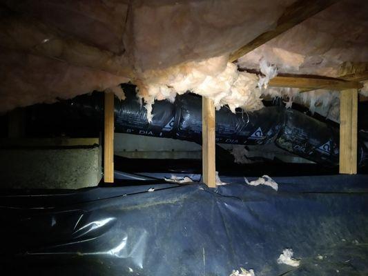 Crawlspace inspection