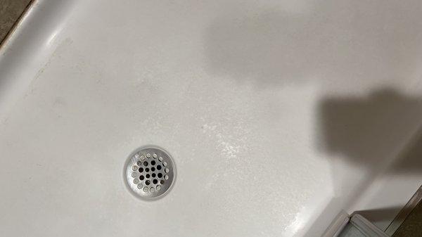 Mold in drain and seals