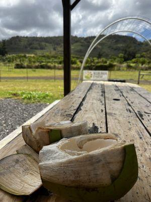 Kahuku Land Farms Stand