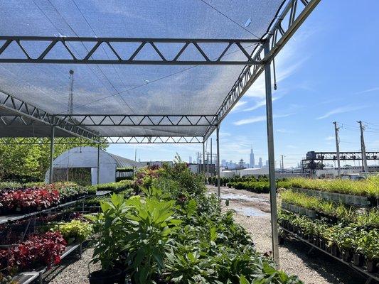 Fiore Nursery and Landscape Supply