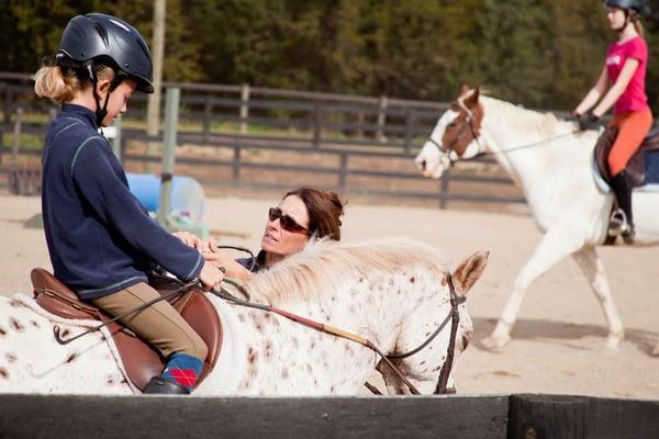 Scattered Acres Sport Horses