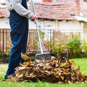 Yard Clean Up. Leave your Fall and Spring Clean Up to us.