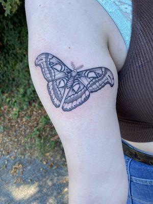 My Atlas Moth Tattoo!