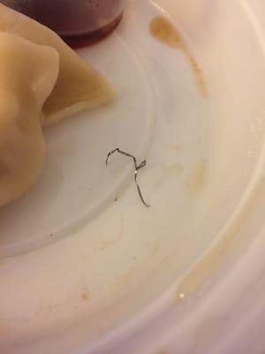 Piece of metal found on a steamed dumpling.