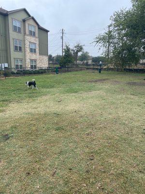 The dog park is my dogs favorite amenity, of course he may be biased.