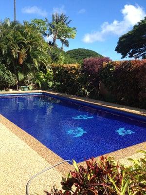 Best Pool and Spa Contractor in Oahu - Kahala Pool & Spa