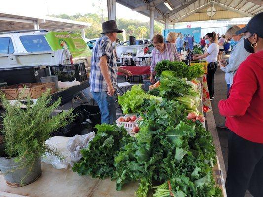 They have the best bok choy and eggplant