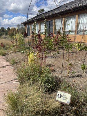 Native Heirloom Garden