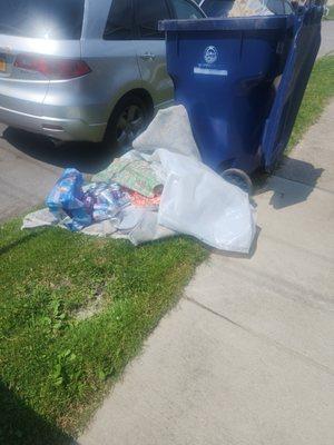 Garbage just dumped by the curb