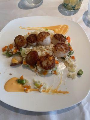 Scallops