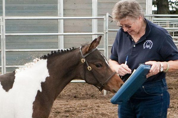 Oak Creek Ranch & Riding Academy