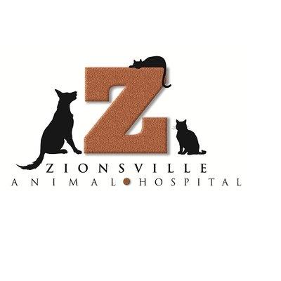 Zionsville Animal Vet