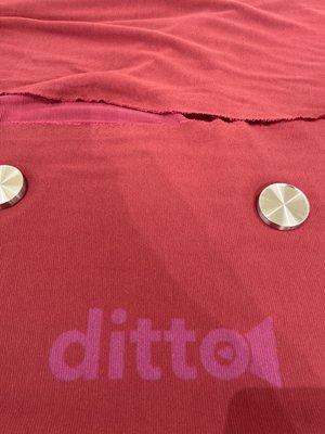 Ditto demonstration