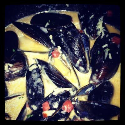 Steam Mussels!