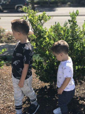 Side profile of kids haircut