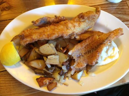 The wonderful walleye dinner with American fries with onion. Perfection on a plate!!