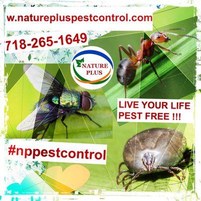 Nature Plus pest control