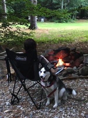 Pet Friendly Camping!