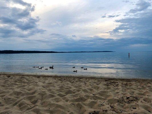 The beach across the street (2 mins walk from our site)