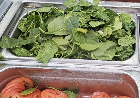 Damaged spinach brown leaves and soggy Cucumbers and tomatoes