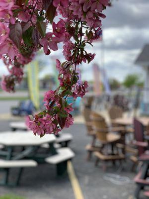 Outdoor Poly furniture, built by the Amish in Indiana.  Creekside furniture lasts a lifetime without maintenance.