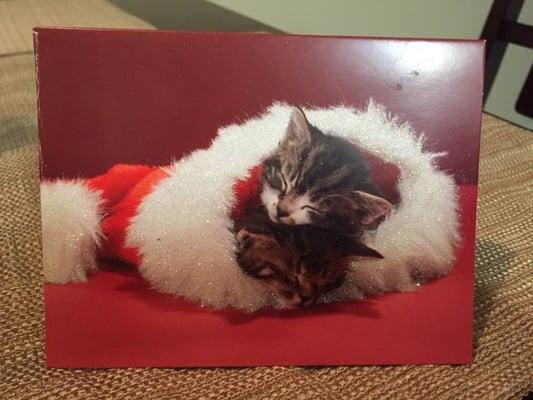 Cute customer Christmas card!