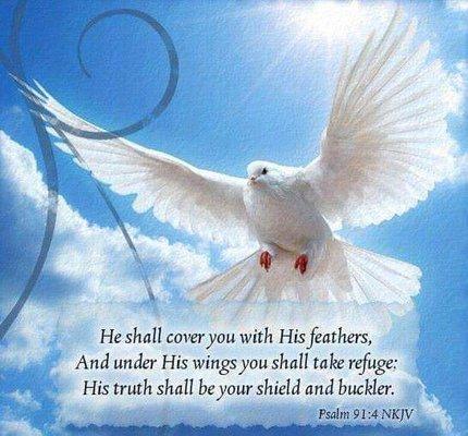 He shall hide and protect you under the shadow of HIS WINGS.  Where the Spirit Of THE LORD is there is LIBERTY.