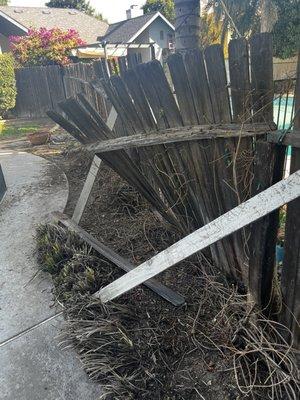 Rotted broken fence