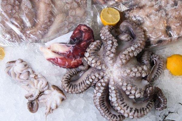 Octopus Anyone?