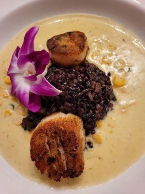 Appetizer from specials menu. Scallops over corn puree with black rice. Delicious