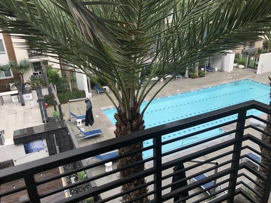 Pool view from our balcony. Palm tree gives a sense of privacy.