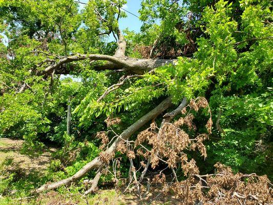 More storm damage