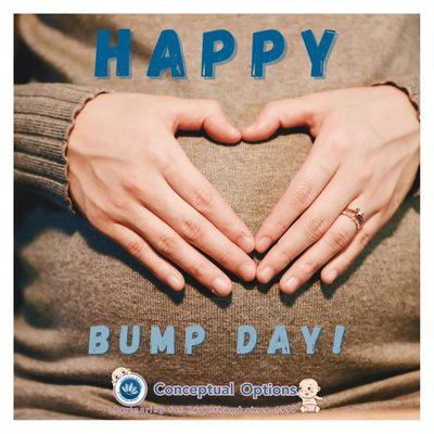 Bump Day - Conceptual Options, LLC